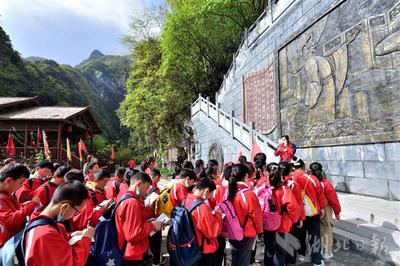 研學(xué)旅行 走進(jìn)自然大課堂